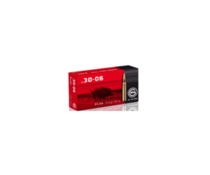.30.06